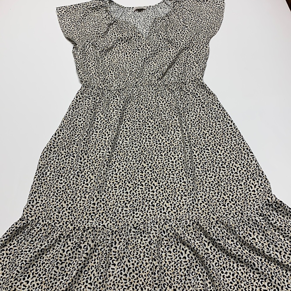 Loft Cheetah Dress